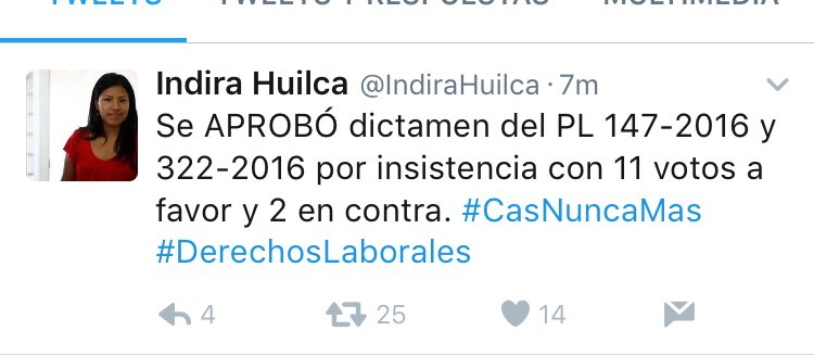Gioanaz's tweet photo. FIRMA FIRMA@stapiab @Mauriciomulder @UrsulaLetonaP @yonhy_lescano @IndiraHuilca @msalazarcongres @HCevallosFlores @KalinDominguez https://t.co/8aaqjTo3C5