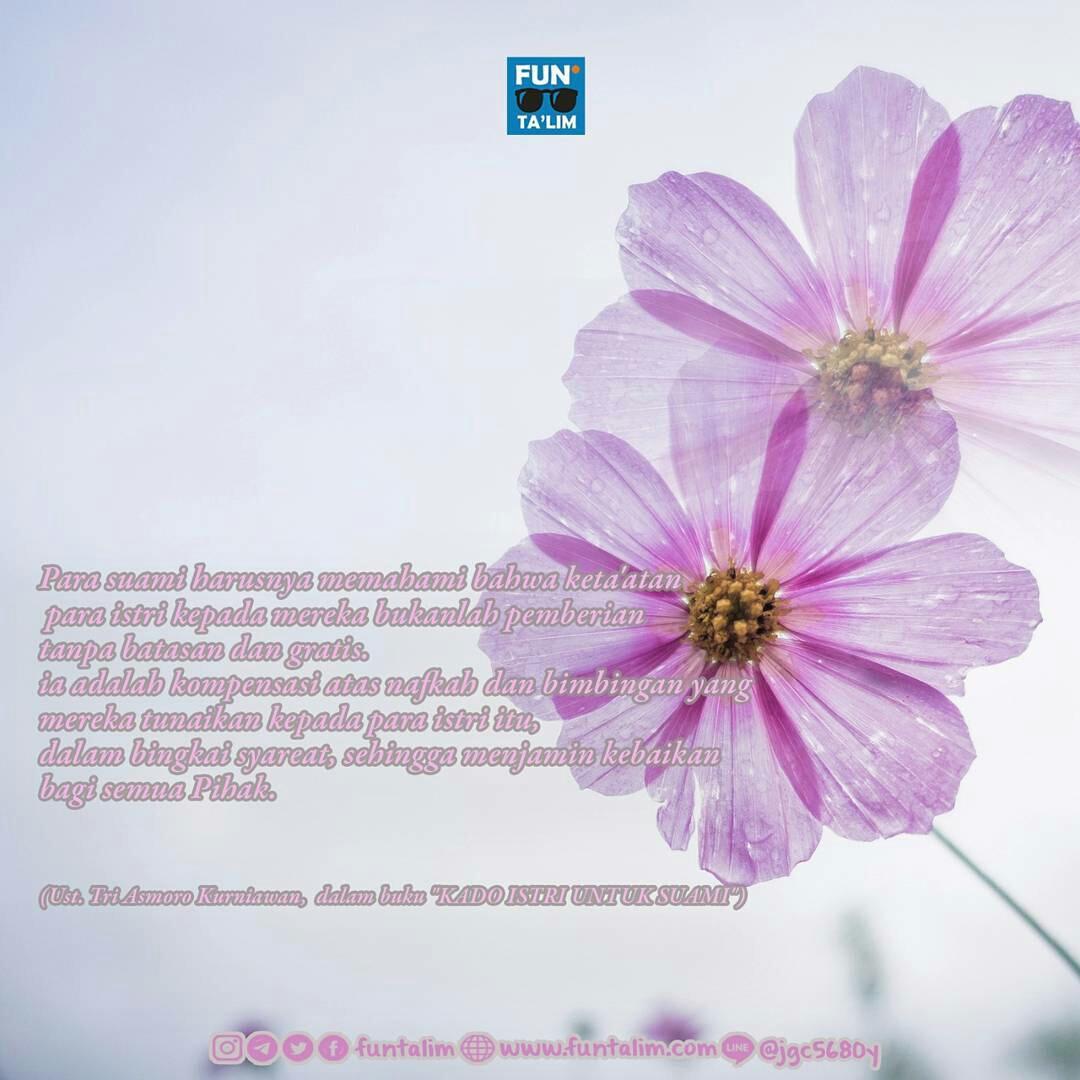 Para suami harusnya memahami bahwa keta'atan para istri kpd mereka bkn lah pemberian.... instagram.com/p/BSuPHFvhdVw/