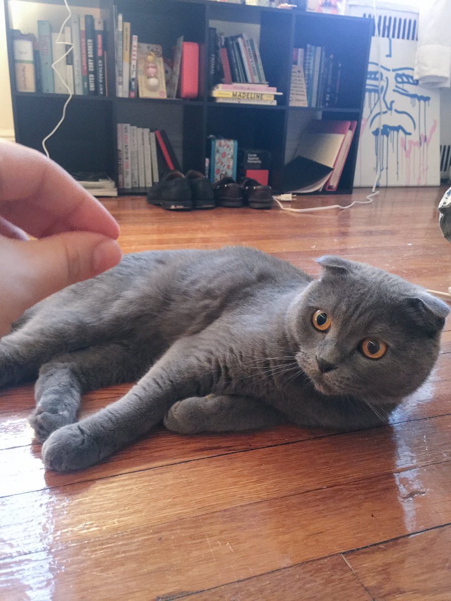 Serenity Discko tweet media