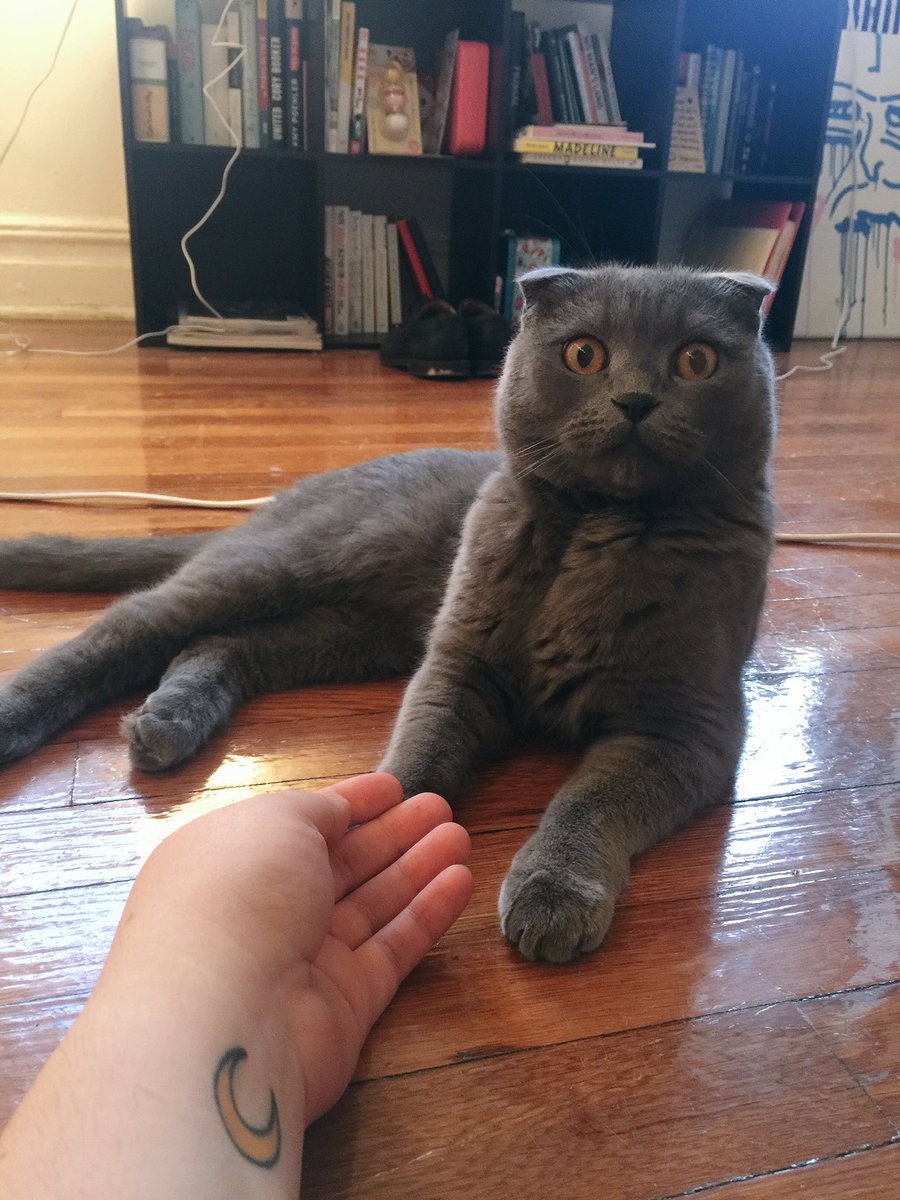 Serenity Discko tweet media