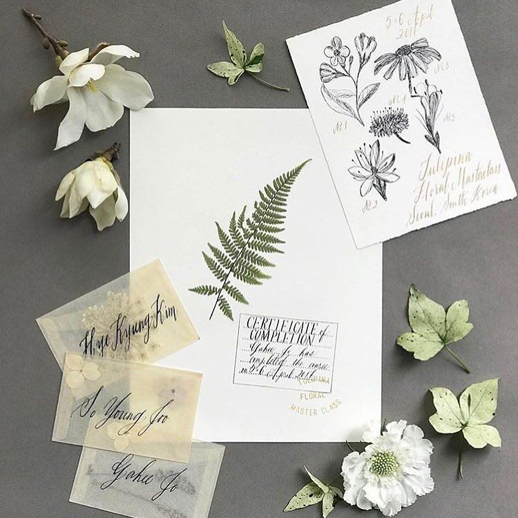 parseandparcel's tweet image. 🌿Petals + paper, a springtime fave.
📷 via @maybelleimasa ✉️Vellum / Translucent envelopes are perfect for a spring… ift.tt/2oqiAoF