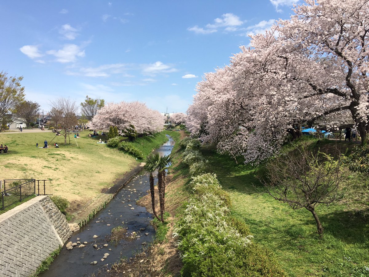 jick51224's tweet photo. 最高の全休すぎる https://t.co/rkWaAhwL8n