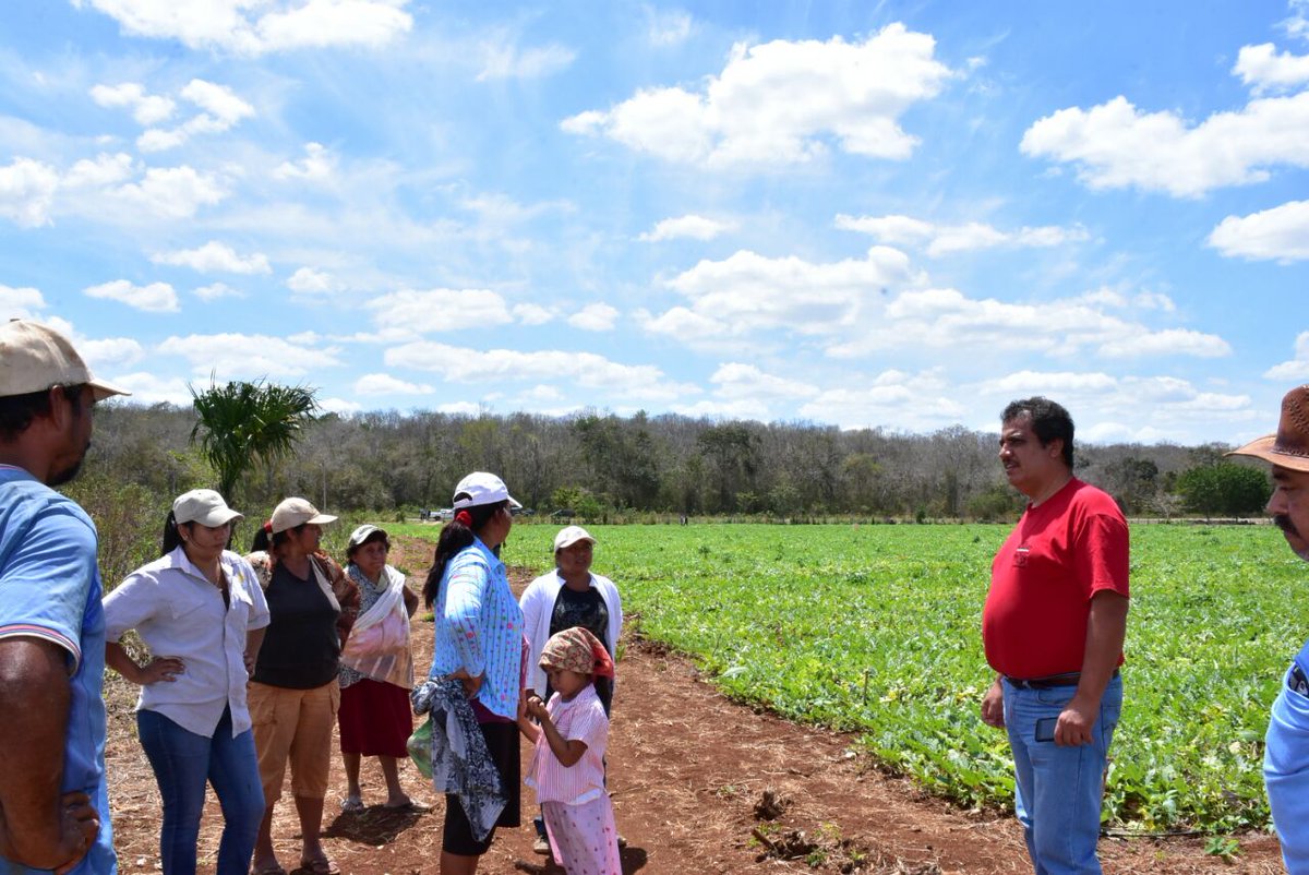 RedIndependien1's tweet photo. Buscamos que el campo se fortalezca con proyectos productivos #puertoarturo  tierra de sandilleros @CarlosJoaquin @Erikbyam @Chacmex_Oficial https://t.co/HzLKwJKK0j