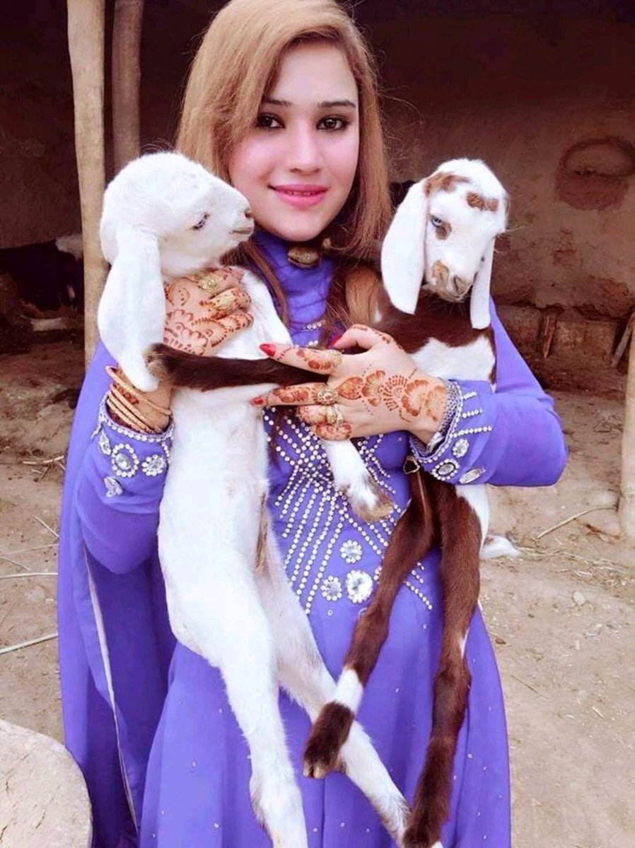 NaughtyBhabhi's tweet photo. चलो बताओ इस फोटो में कितनी बकरियां दिख रही है?
Reply fast.....
@NaughtyBhabhi https://t.co/6Hu7gLzY3D