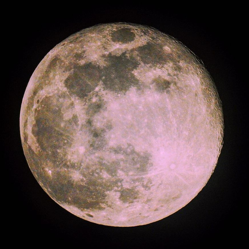 kjfsix9's tweet photo. #FullMoon #PinkMoon #SproutingGrassMoon #Egg Moon #FishMoon #Lunar #BarkAtTheMoon #LunaticFringe https://t.co/0HSmUVkjyb https://t.co/8ACFrRt3rC