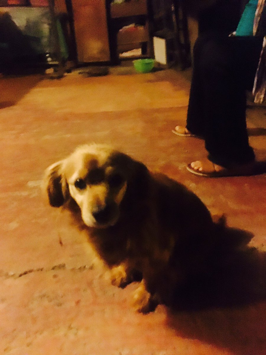 GSERockers's tweet photo. Contemplando la noche !! https://t.co/2D9E1cGOj9