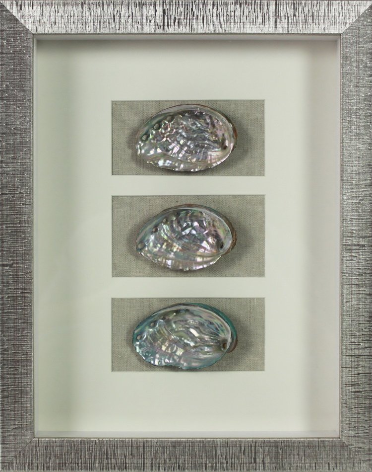 Abalone Shells Graphic Art Shadow Box looking to connect with others in the industry around the world #shadowbox #wallartwork #framedartwork