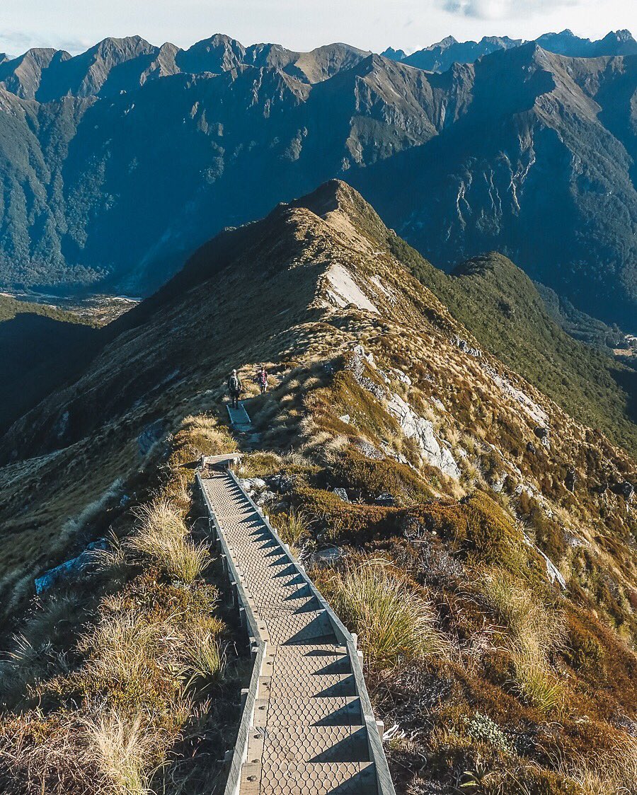 travelcreateexp's tweet photo. Coming back to civilisation after the #Kepler hike this past week. Probably my favourite great walk! https://t.co/AOlOLo73g0