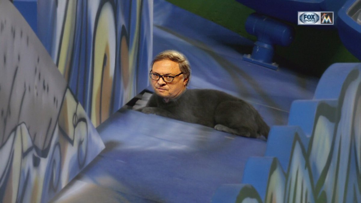 I knew that cat looked familiar.