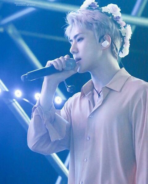 RandomTayo's tweet photo. The makanae who broke into our hearts and stole them. Happy Birthday, Lord Sehun. #HappySehunDay #ohsehun #OhSeHun2017 https://t.co/QHzhw8qiZe