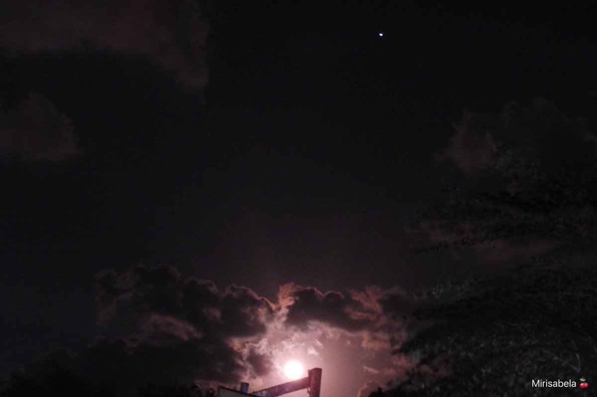 webcamsdemexico's tweet photo. RT @mirisabela: Y entonces la luna rosa en el cielo de hoy desde Tulum #lunarosada https://t.co/gMPNoM8mcF