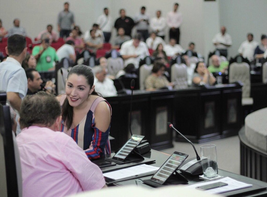 Exhortamos a la <a href="/semaqroo/">@semaqroo</a> a instalar el Consejo Consultivo Ciudadano para la Atención y Bienestar Animal