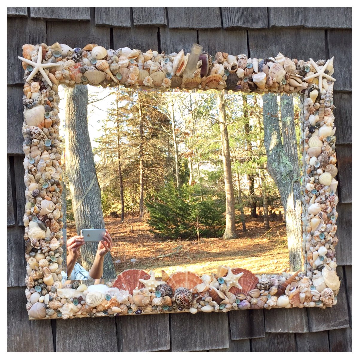 capecodshelld tweet picture