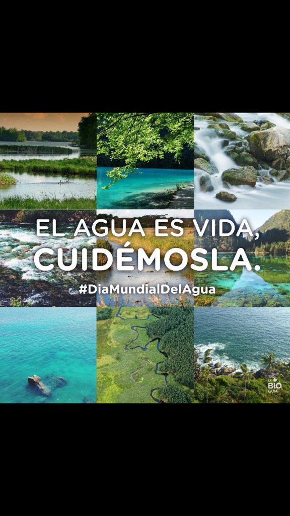 catarina fernandes (@catypolicarpo) on Twitter photo 