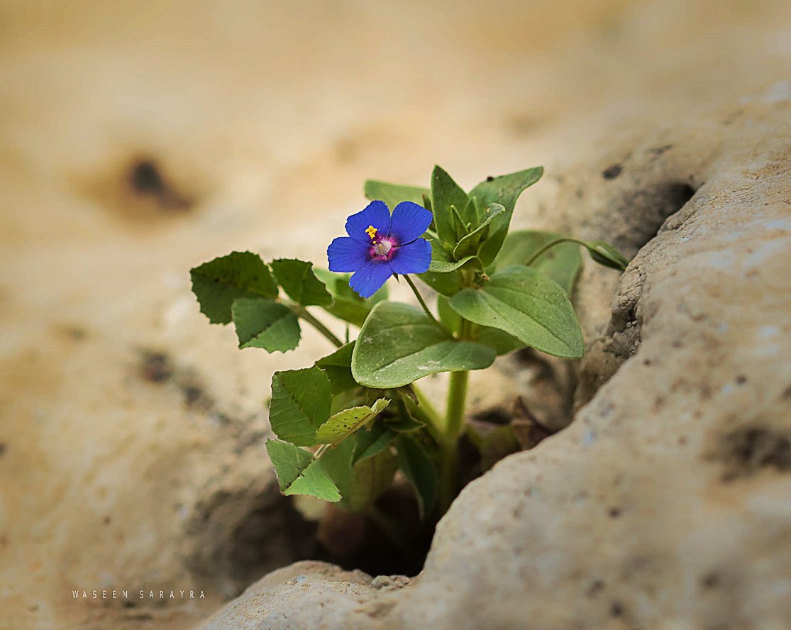 C9LTXgFUIAUyhNy.jpg:large