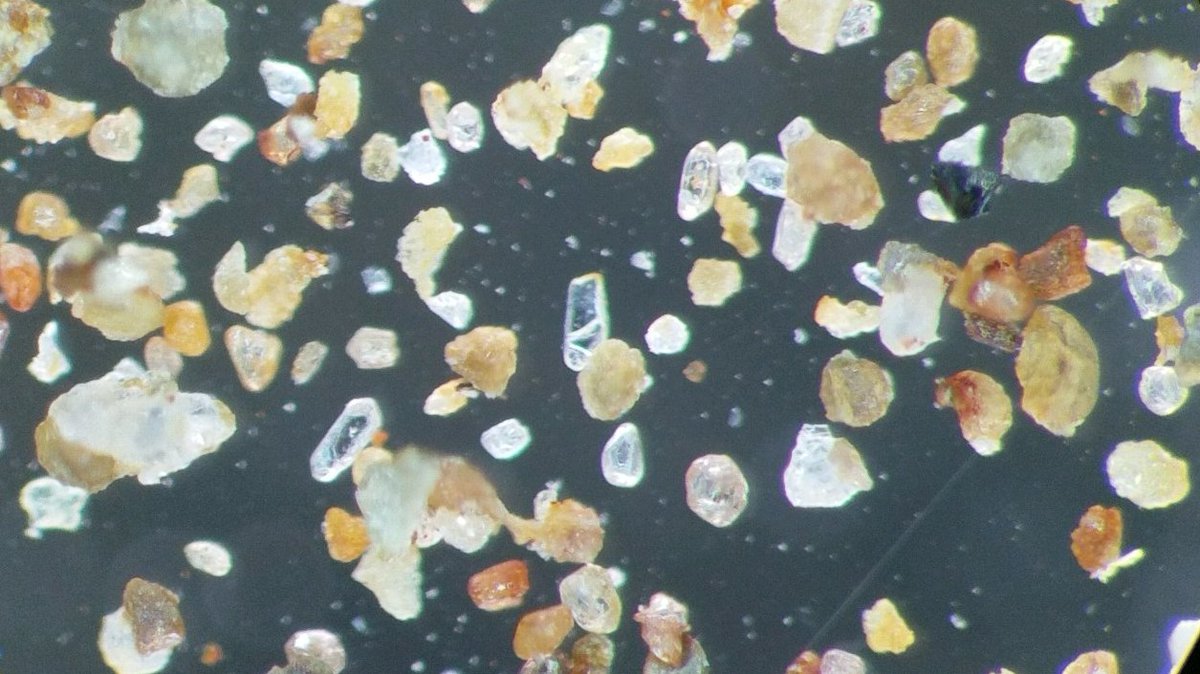 tectonicbigfoot's tweet photo. After many months and a lot of work we finally got our first zircon from the Southern Appalachians.  #areyougrizzled https://t.co/4y9kYHq8Dt