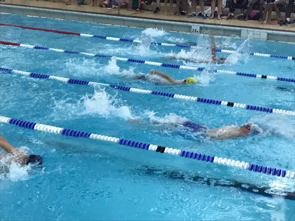 JESSPrimary's tweet photo. @JESSPrimary are the COBIS games 2017 swimming champions. Congratulations to the team and all other schools for fierce competition #COBISOrg https://t.co/tFAbzWnqxT