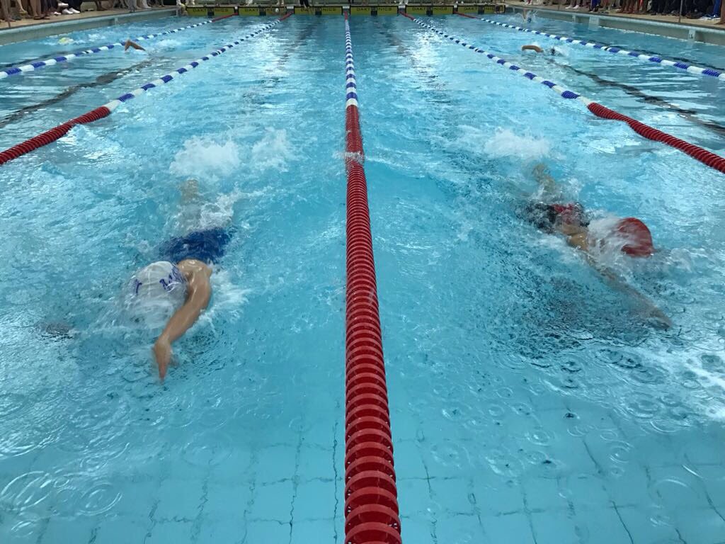 JESSPrimary's tweet photo. @JESSPrimary are the COBIS games 2017 swimming champions. Congratulations to the team and all other schools for fierce competition #COBISOrg https://t.co/tFAbzWnqxT
