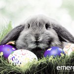 Photo by Emerge Associates (@EmergeAssoc)