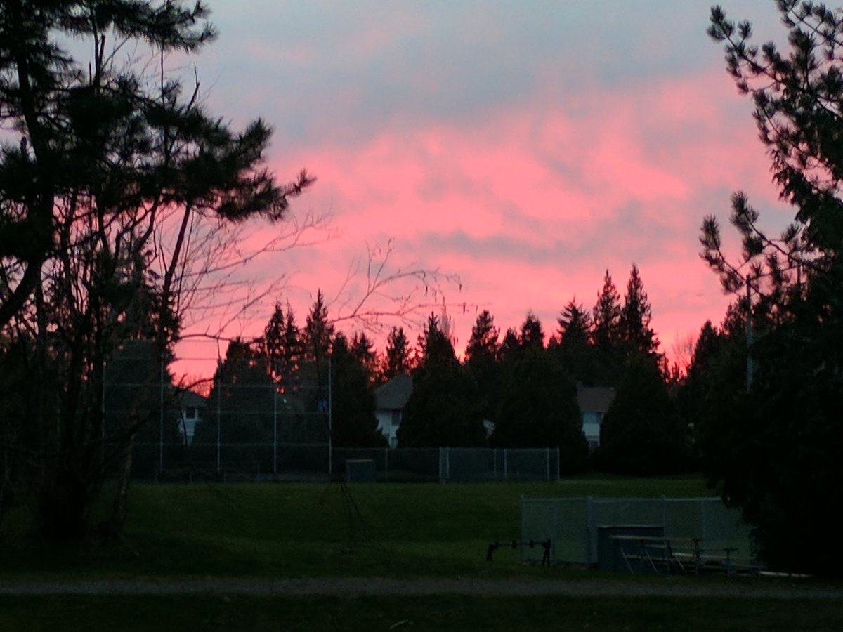 TSutherlandCPA's tweet image. Amazing pink sky tonight in #Vancouver