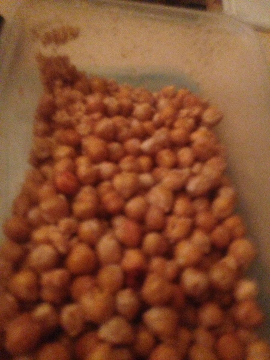 MarkieGodfrey's tweet photo. #chicpea #popcorn chilli/garlic got a kick lovely snack my gbf in 4yrs eats veggies and spices #proud https://t.co/nzaNWOu37c
