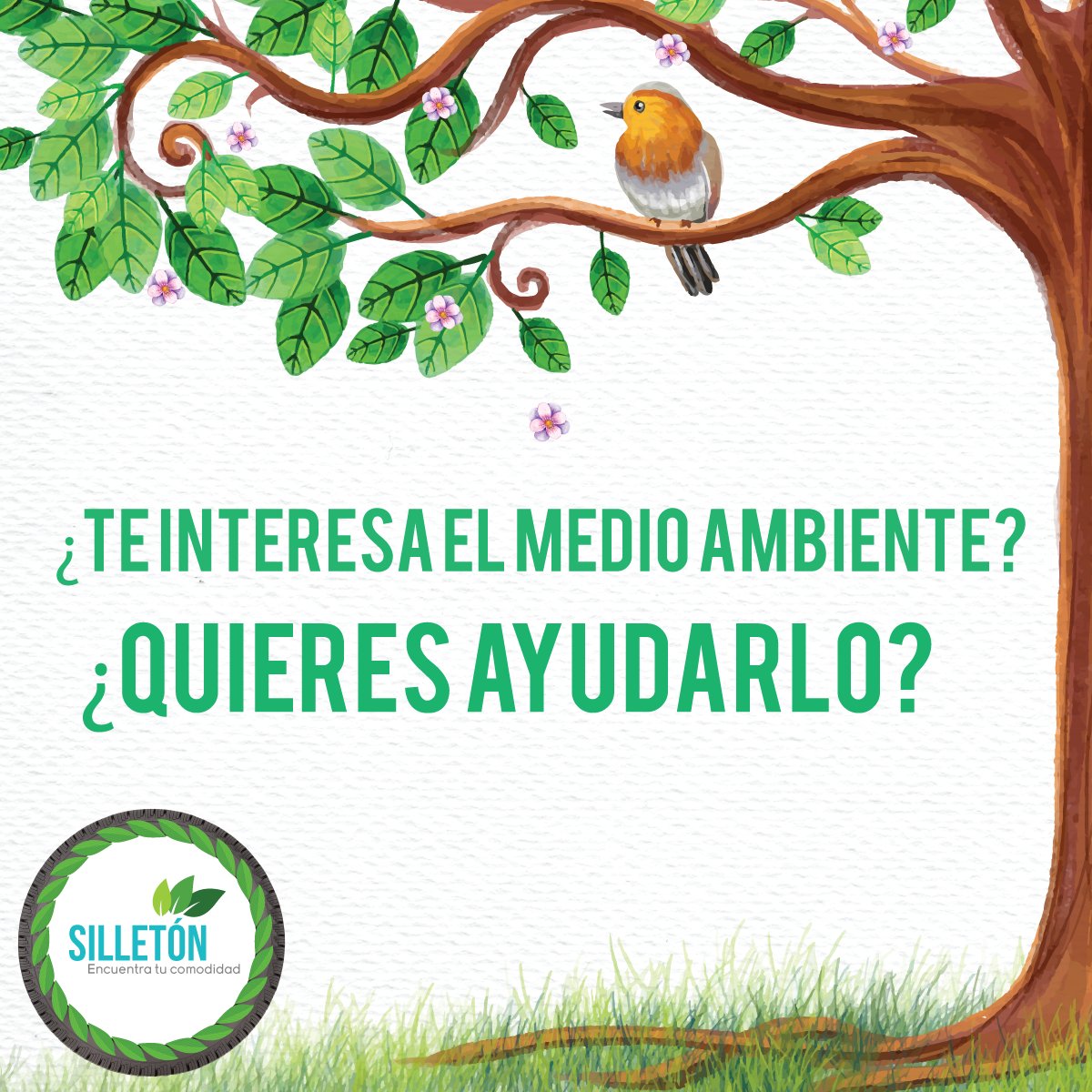 SILLETONBOGOTA's tweet photo. #Silleton siempre piensa el cuidado del #medioambiente. ¡Muy pronto conocerás como contribuimos a esta causa! #Reduce #Reutiliza #Recicla https://t.co/UgAeoiClmJ