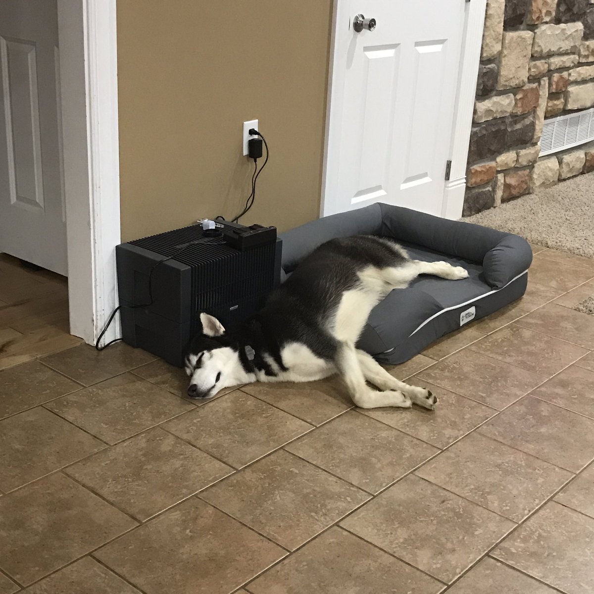 RomanAtwood's tweet photo. Glad she bought the large bed 😂 https://t.co/L7GSzpPFEM