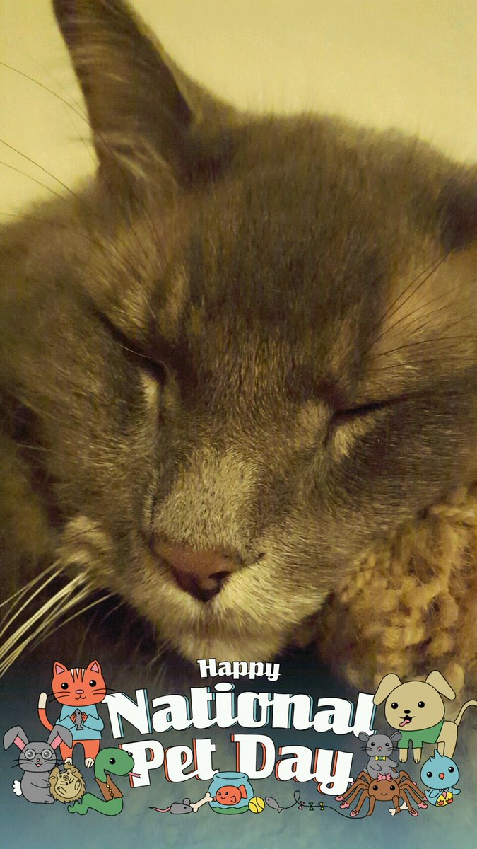 Happy #nationalpetday