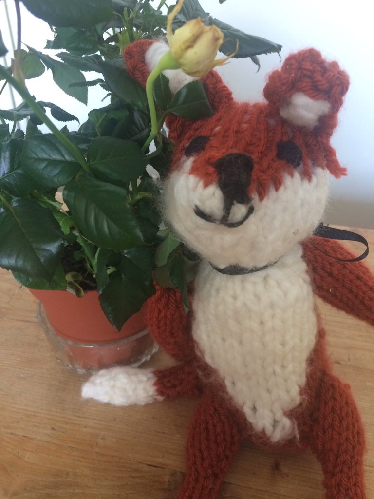 PercyPompom's tweet photo. Cylchdaith Stori @PercyPompom yn Aberystwyth heddiw 12/04/17
10:30 @siopypethe 
1:30 @CeredigionCC Llyfrgell y dre 💜😀@LlyfrauCymru https://t.co/MW8oNDlYiq