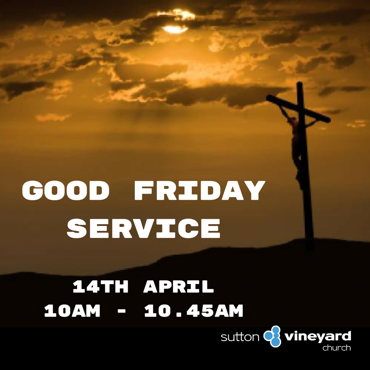 Sutton Vineyard tweet media