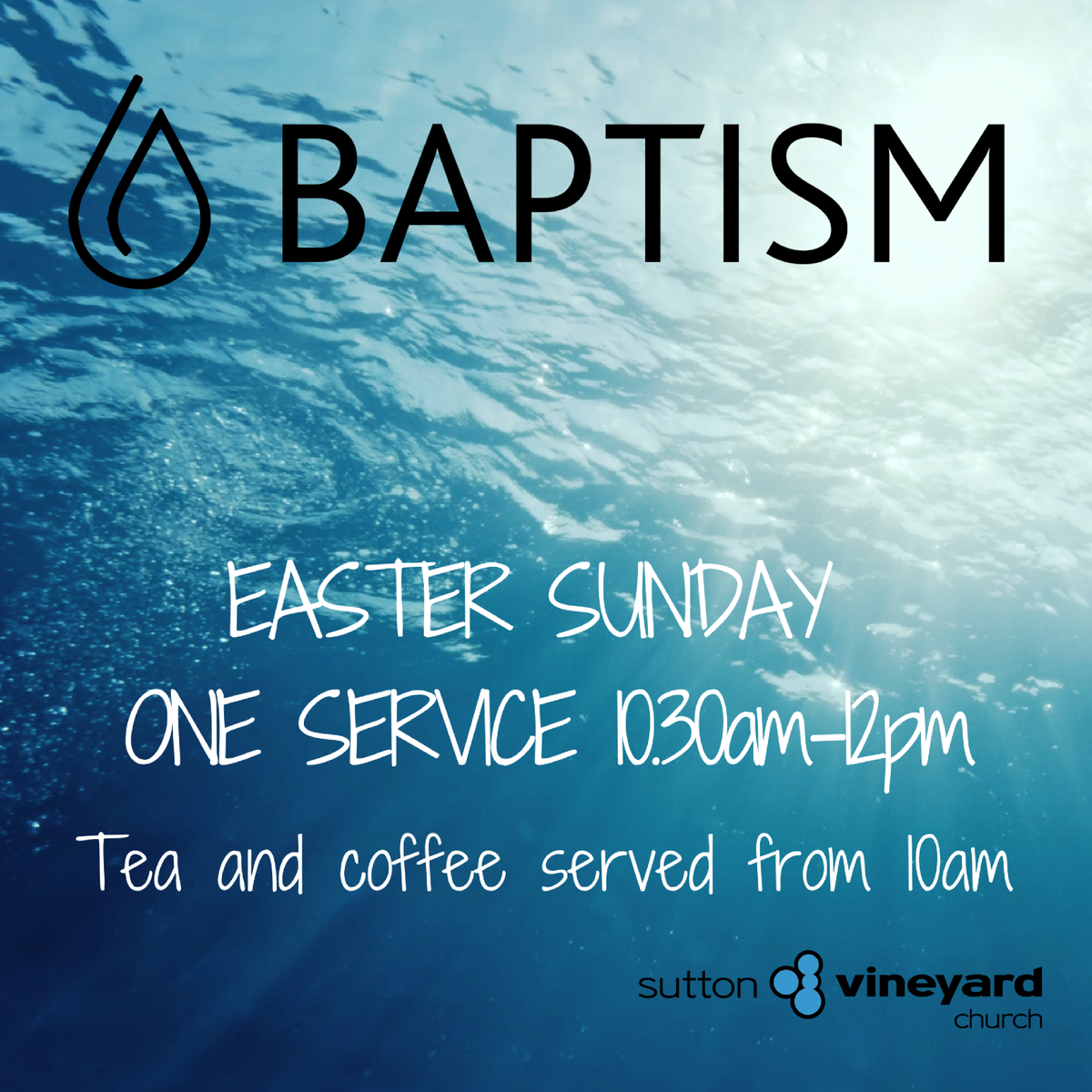 Sutton Vineyard tweet media