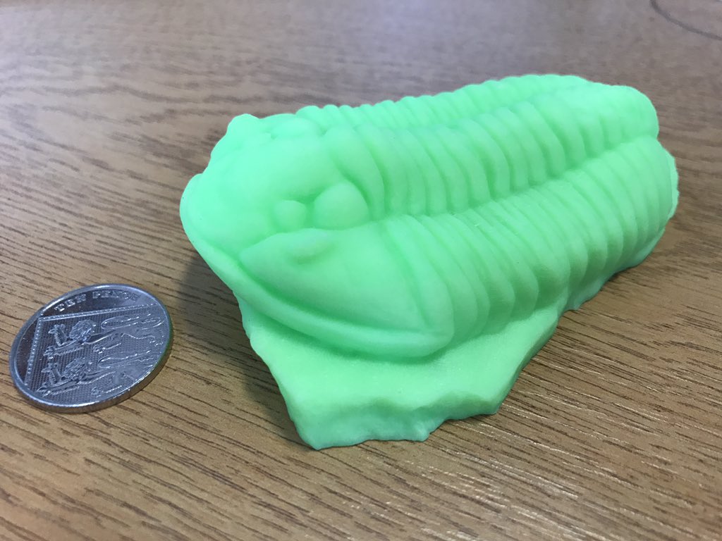 matfald's tweet photo. @LukeEMeade @AJonesWithBones @LapworthMuseum And the printed result! @ButlerLabBham @LapworthMuseum https://t.co/H3Jzh8RzbW
