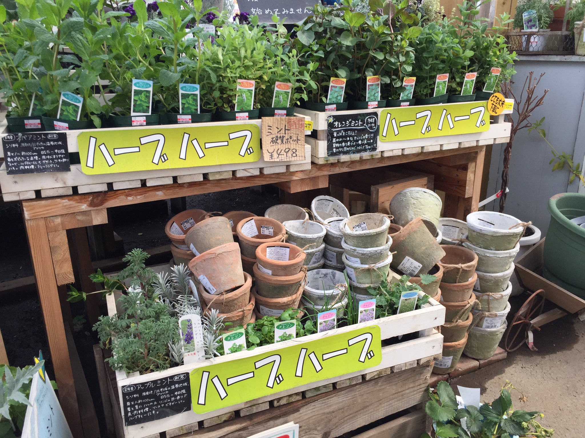 ジョイフル本田 ガーデンセンター Auf Twitter ガーデンセンター幸手店 埼玉 再入荷 ハーブにピッタリ モスポット 使い込んだ風合いが人気の鉢です W ハーブ以外の植物にも合わせやすい人気商品です ٩ W و T Co T2eodp7pdz Twitter