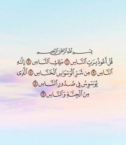 _shaikha95_'s tweet photo. 🍃🌸💜 https://t.co/21eJVYpyFZ