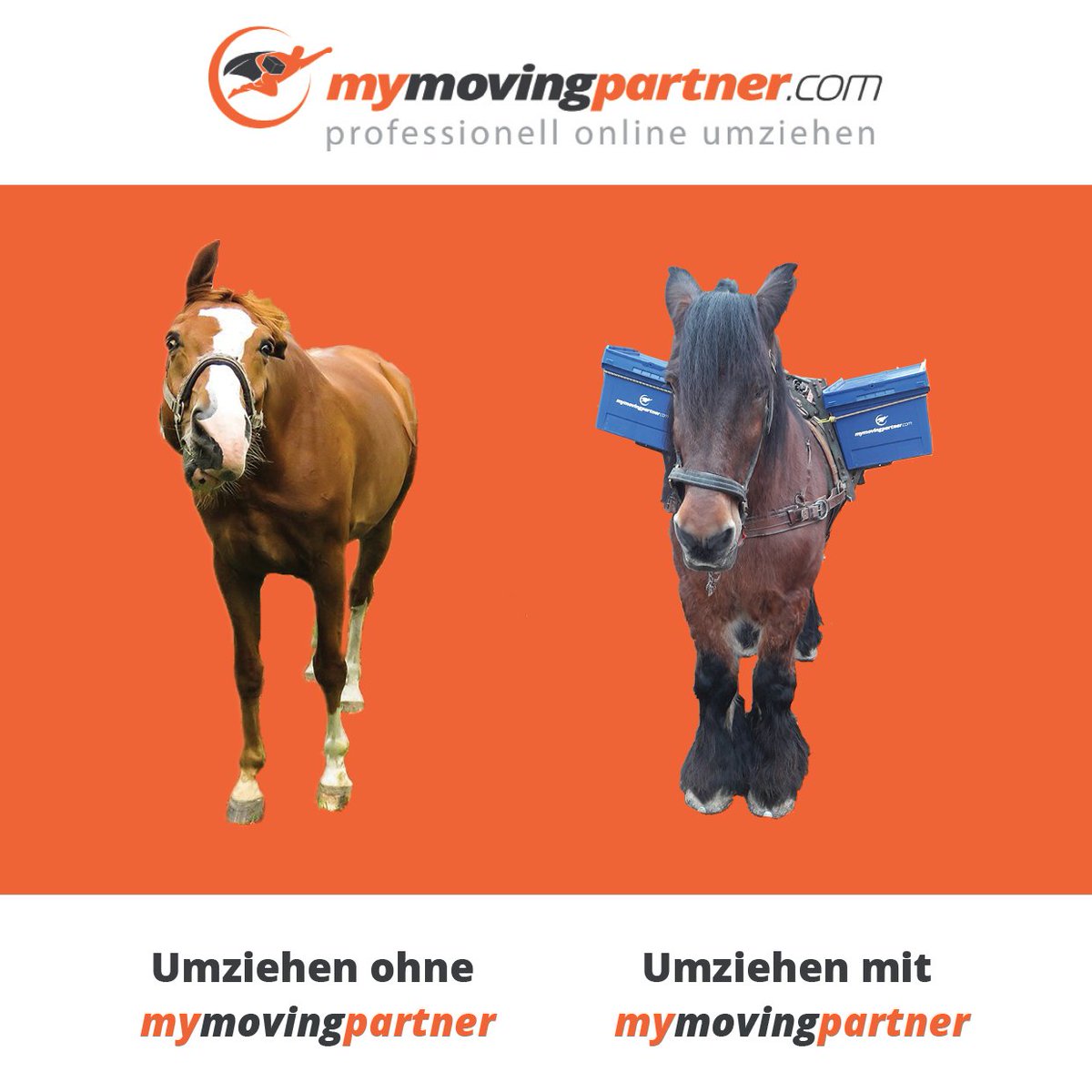 #umziehen #confernbox