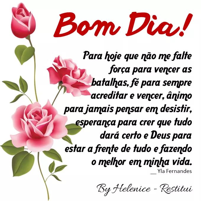 anelydutra's tweet image. 