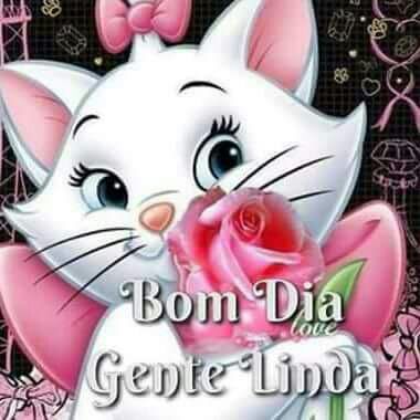 anelydutra's tweet image. 