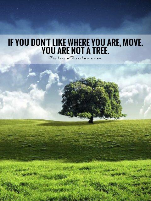 VisionEight's tweet image. "If you don't like where you are, move, you are not a tree."