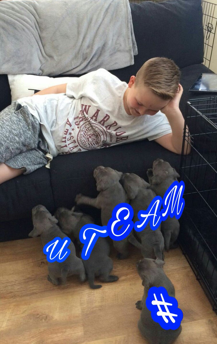 tsuisweet's tweet photo. Even puppies like to participate in the #utwwater campaign. Plenty of water comes from these 6 ๐ #utw #utilitywiseplc #U-Team https://t.co/b4UXCWZlBn