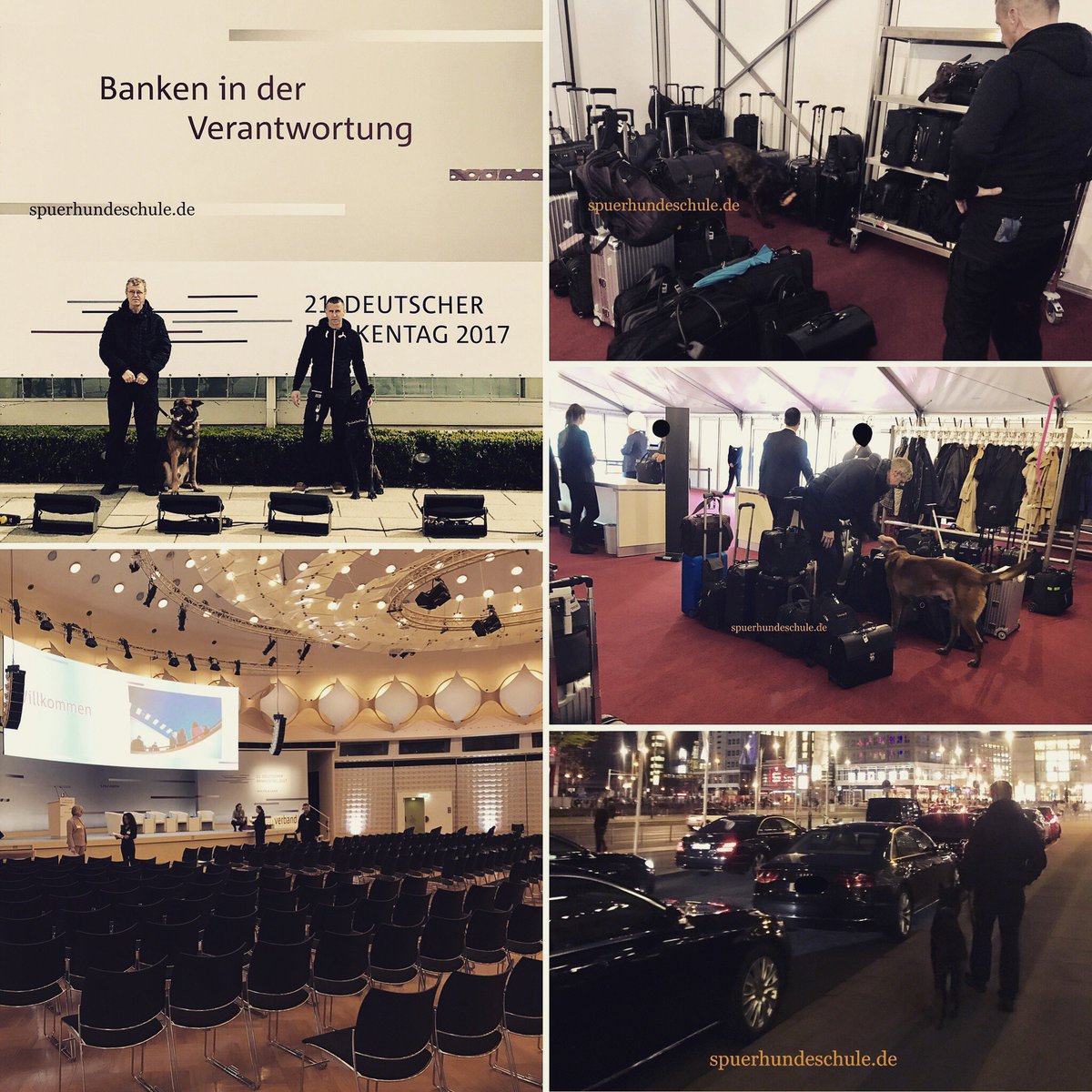 DetectionSchool's tweet photo. 21. deutsche Bankentag 2017. Absicherung mit unseren Sprengstoffspürhunden #bankentag #spuerhundeschule #detectiondogs https://t.co/7awwzyR2MH