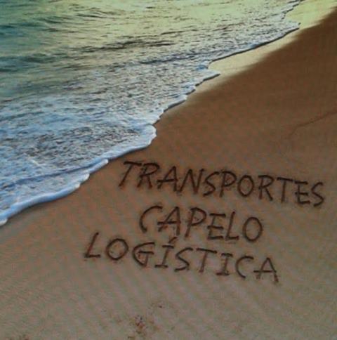 TransCapelo tweet picture