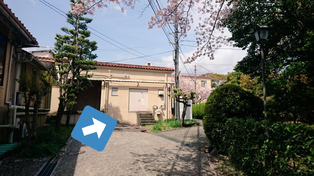 神戸女学院大 津軽三味線部 tweet media
