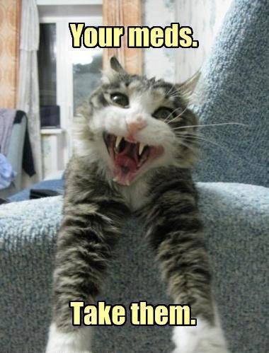 GeneralCattis's tweet photo. Take your meds now. #ChillOutIn4Words https://t.co/IiUdvKYpI0