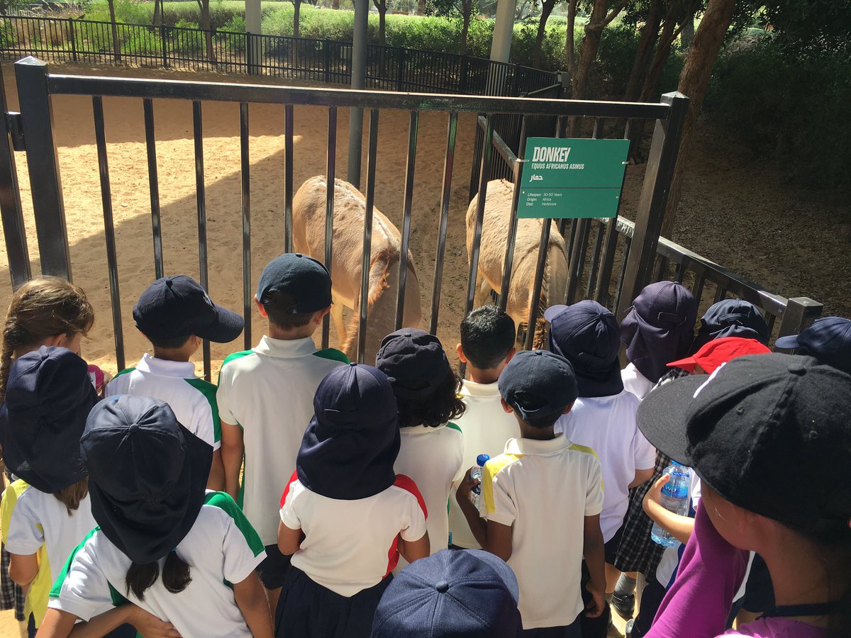 BCADpreprephead's tweet photo. Lots of excitement over the release of the donkeys! @BCADpreprep @BCADyear1 https://t.co/su65o6l5v7