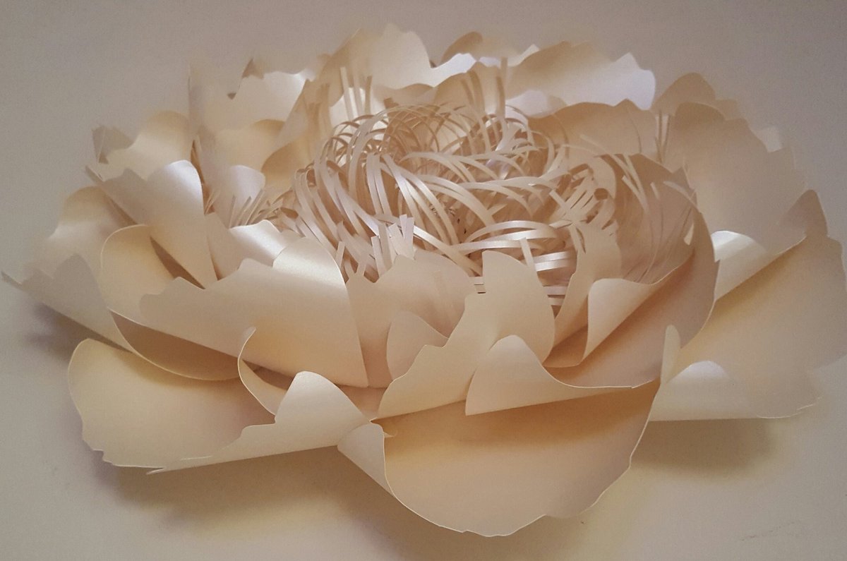 WPFlowerDesign's tweet image. #summerwedding  #creamwedding  #wedding  #paperflowers #paperflowerbackdrop #paperflowerwall  #paperflowerdecorations  #paperflowerlondon