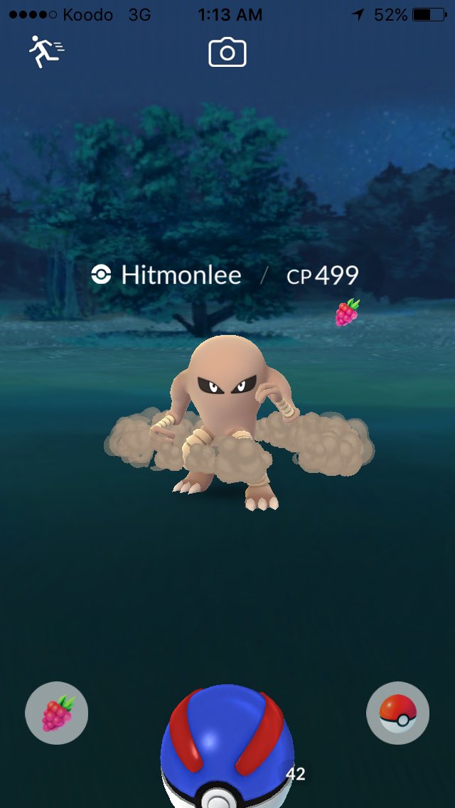 tinytacoturtle's tweet photo. Look at those fighting moves 💪🏼#PokemonGO #TeamInstinct https://t.co/Ki1RSzh01I