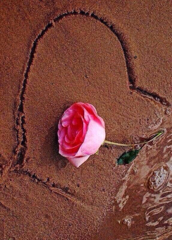 __peacepoet's tweet photo. @TIERNA_PASION__ @gimevillarreal5 @VanessaNut20202 @Quinnqueens @TM1DN @AdryMMP @LiliBodo @ELITE_LEGENDZ_ @OptimumNaturae @mudzwhite_ @Ruby2211250220 @MarEthr @PaulTwigg4 #ＴＥＡＭＳＷＥＥＴ 
#ＴＭ1ＤＮ 
#ＥＬＩＴＥＬＥＧＥＮＤＺ 
#ＣＨＩＥＶＡ 
@TIERNA_PASION__
@TM1DN
@mudzwhite_
@Ruby2211250220
@MarEthr
@PaulTwigg4
@AdryMMP 
@Quinnqueens https://t.co/J08u3dPvdQ