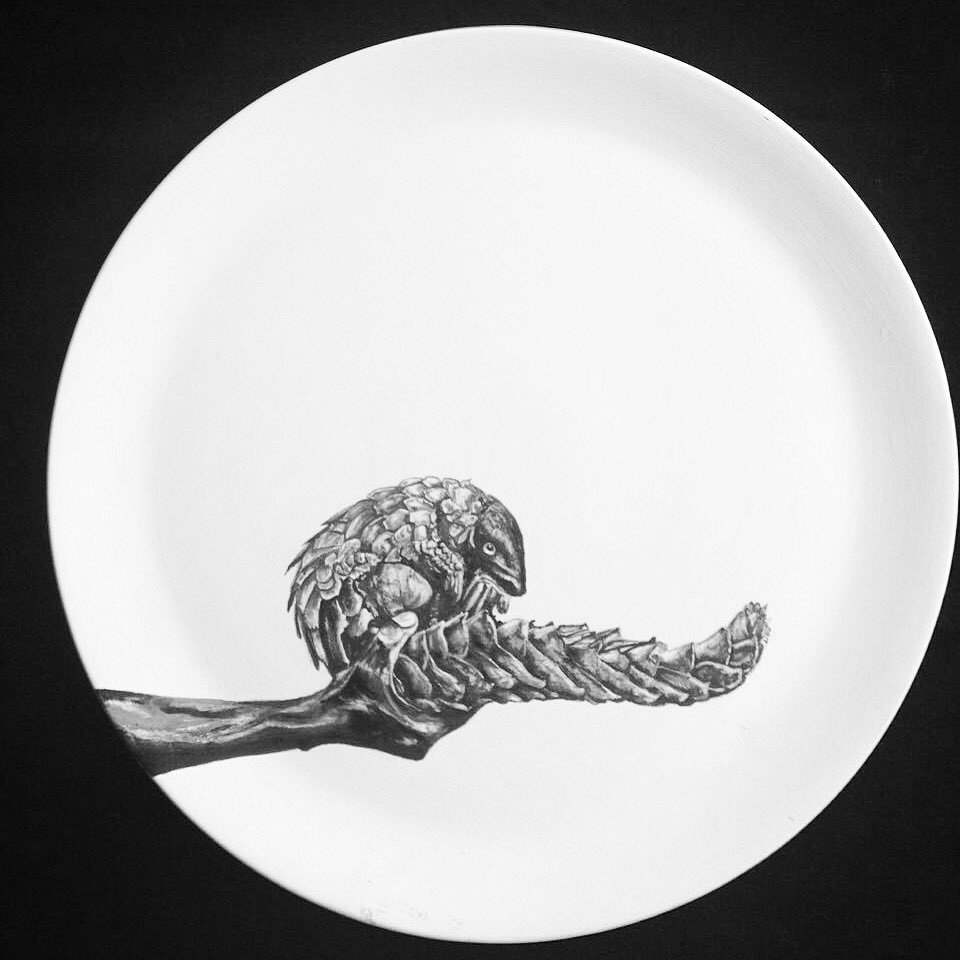 The Platter Project tweet media