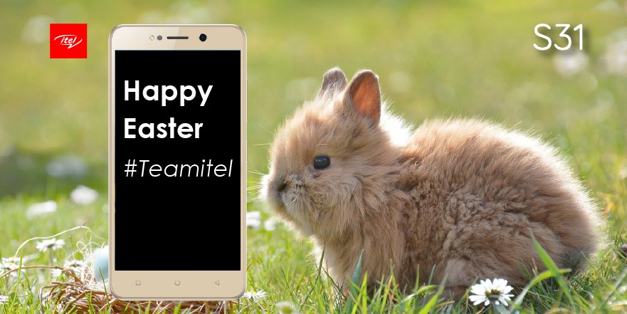 itelKenya's tweet photo. May your Easter basket be full of joy, happiness and Peace today and Always. Happy Easter #Teamitel https://t.co/tf6c1WbCse