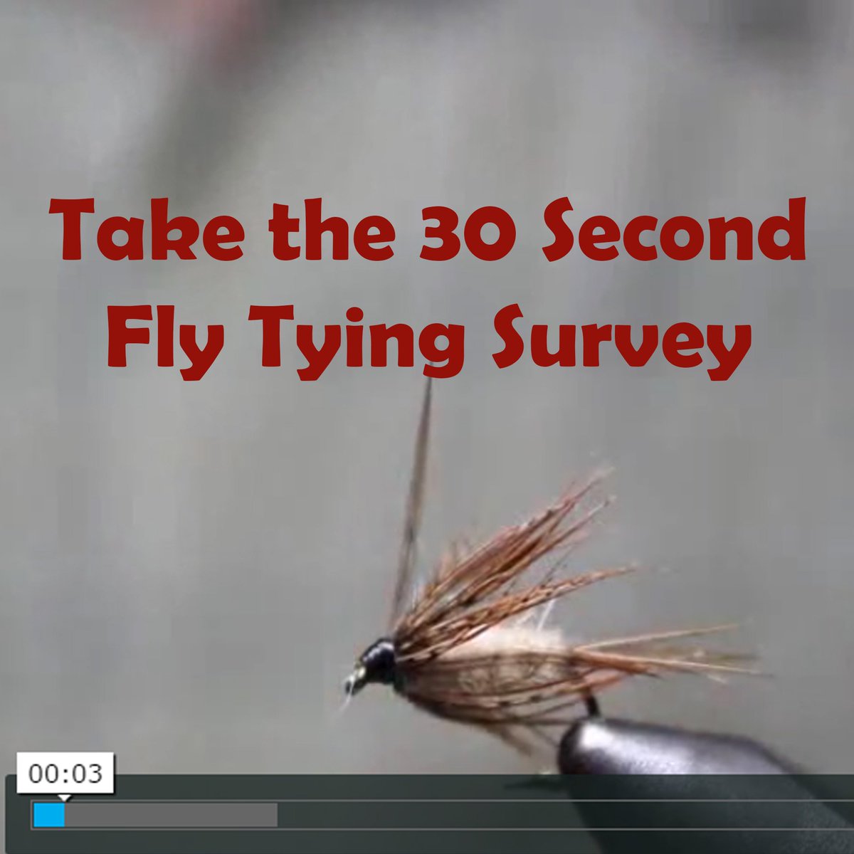 Fly Tying Survey in 30 Seconds!!

Right Here ===> surveymonkey.com/r/3WZNKXJ

#fishing #flytying #steelhead #trout